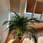 Ultracentral